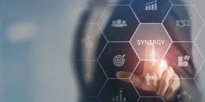 Startup synergy within innovation network