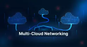 Enterprise cloud distribution network showing multi-cloud connectivity, channel partnerships, and IT infrastructure integration